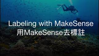 Instruction Video: How to label with MakeSense