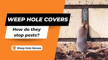 Covering Weep Holes Stops Pests!