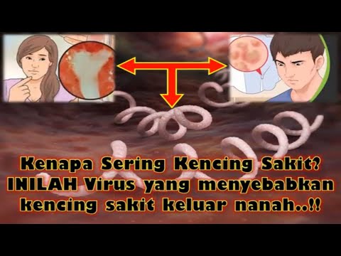 kenapa-sering-kencing-sakit?-inilah-virus-yang-menyebabkan-kencing-sakit-keluar-nanah-!!