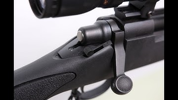 Cover Image for Remington 700 ADL Review