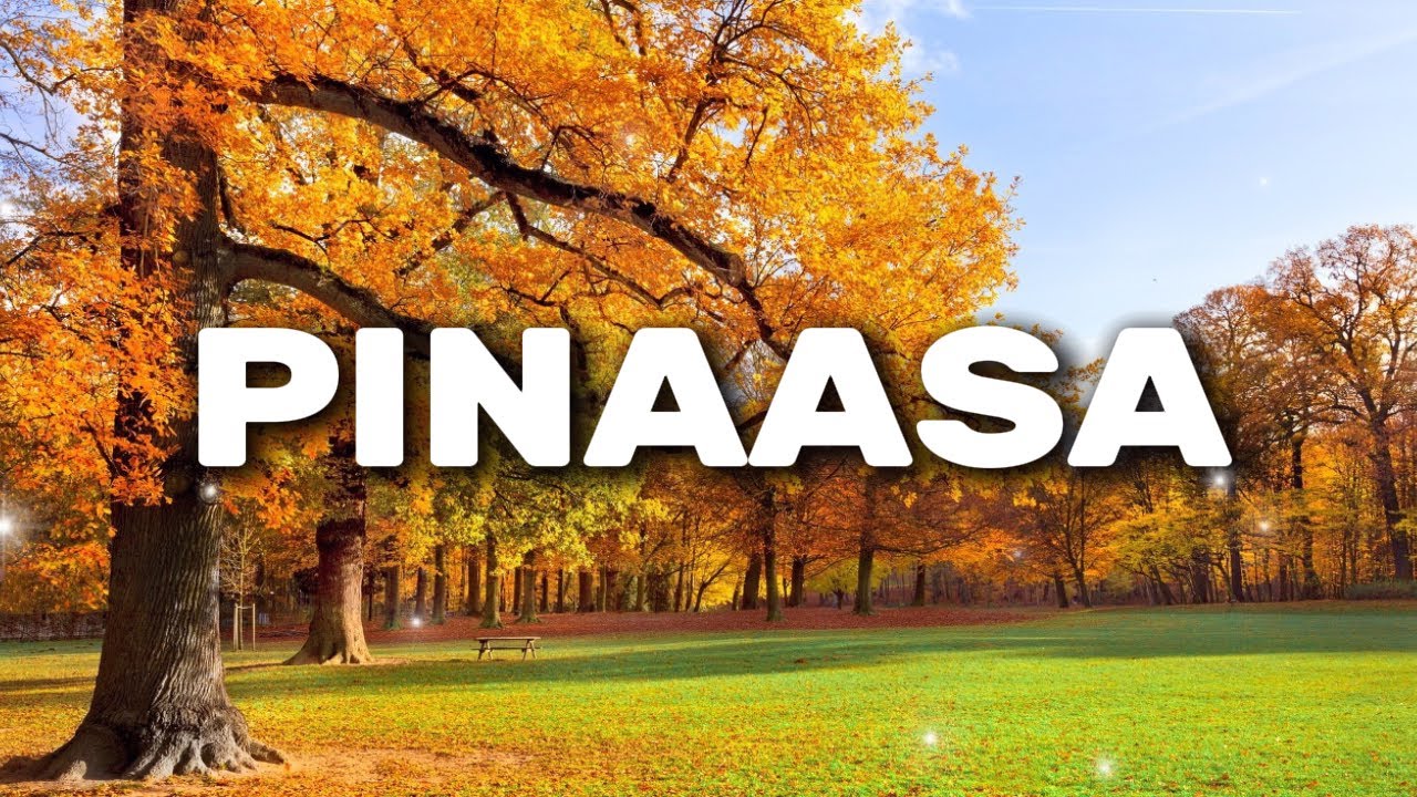 Pinaasa - Official Lyric Video - YouTube