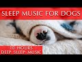 Dog Sleep Music for Deep Sleeping [10 Hours]