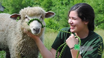 Maine 4-H Youth Development