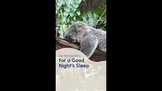 Top 5 Secrets for a Good Night's Sleep with Dr. Michael Breus screenshot 3