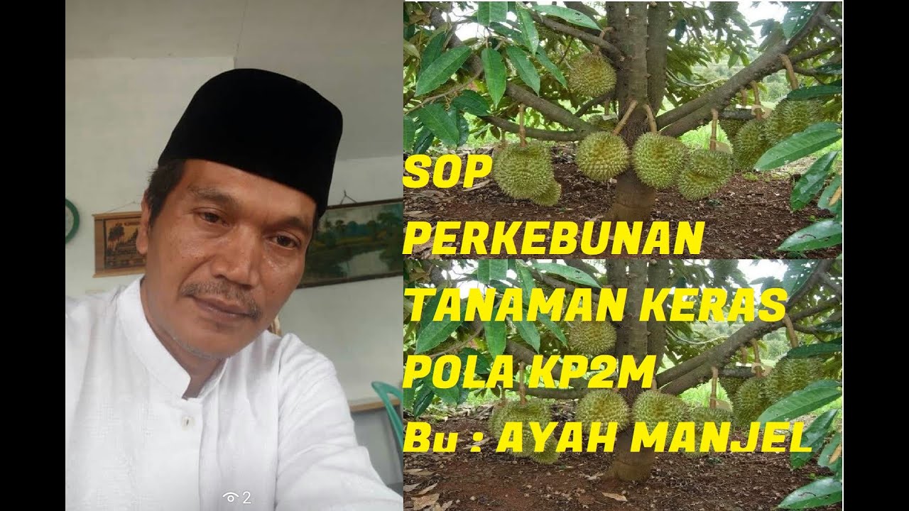 22.Kuliyyah tentang managgement PERKEBUNAN | MATERI PERTANIAN | by Ayah Manjel