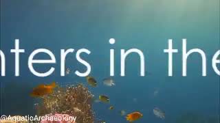 Exploring the Depths Oceanic Expeditions in Uncharted Waters