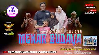 Download lagu 🔴LIVE MEKAR BUDAYA GRUP || MALAM || KAMIS , 09 APRIL 2026 || BALERAJA - GANTAR - INDRAMAYU