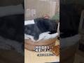 猫商店街に露天風呂⁉️
