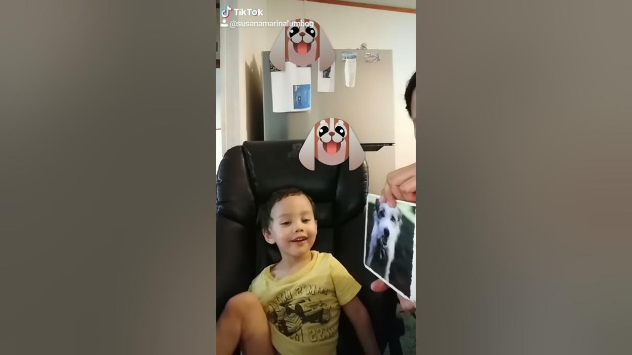 Pooping in the middle of TikTok 😂😂😂 YouTube