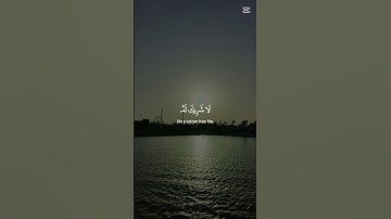 #القارئ #ياسر_الدوسري #راحة_نفسية