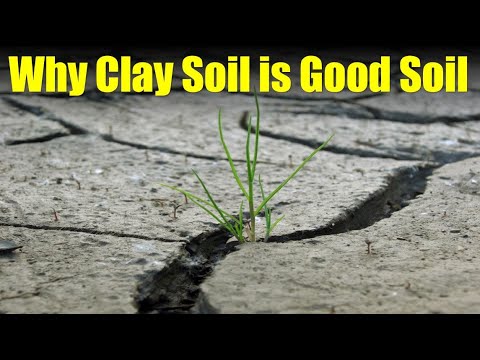 Видео: Шаварлаг хөрс хэрхэн үүсдэг вэ?