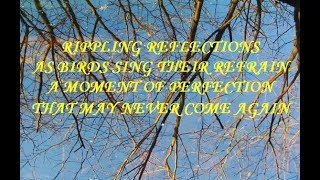 Rippling Reflections