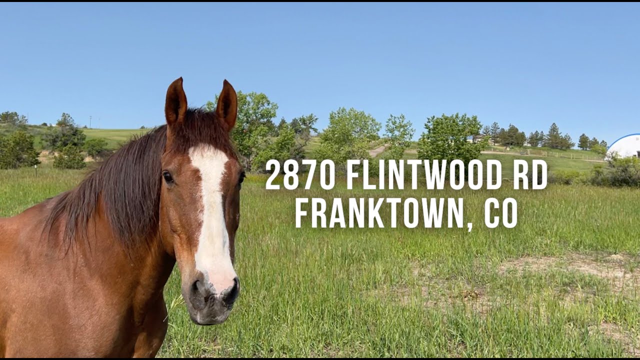 Equestrian Ranch For Sale 2870 Flintwood Rd Franktown, CO Listed by Ron Hetherington YouTube