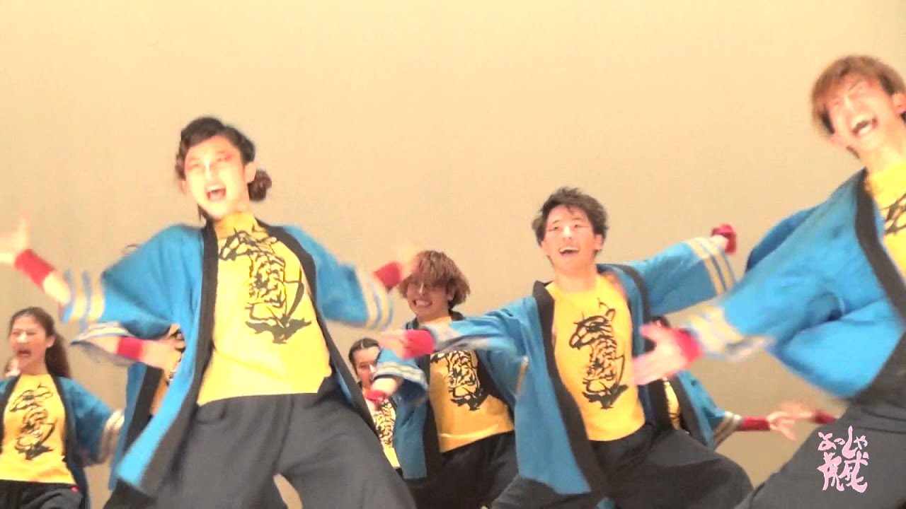 APU Yosshakoi よっしゃ虎威 -颯舞 HARIMAU 10th Anniversary - YouTube