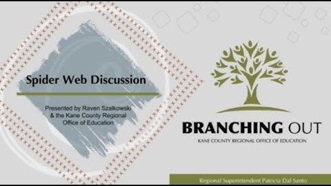 Branching Out: Spider Web Discussion