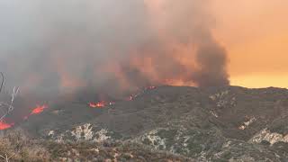 Mandatory evacuations have been issued for the mcvickers, rice canyon,
horsethief, glen eden, el cariso village, sycamore and rancho
capistrano neighborhoods...