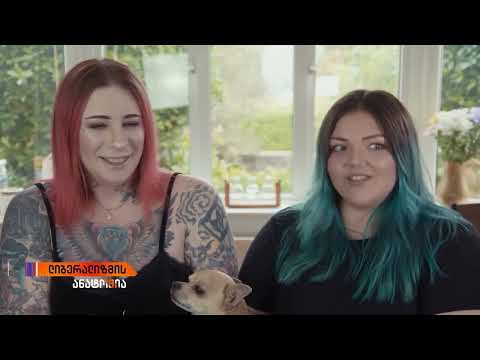 რა ვერ გაიყვეს ერთმანეთში ლგბტქ+ საზოგადოებამ