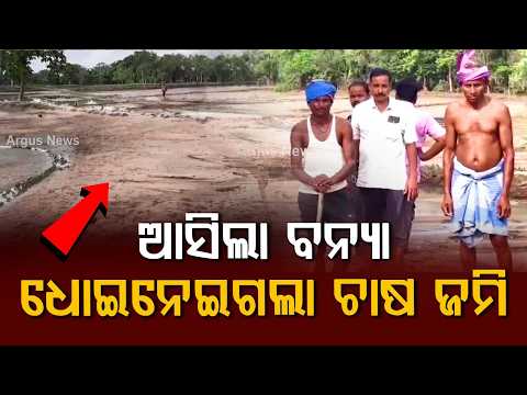 Sonepur Flood News: Heavy Rain & Ong River Flood Destroy Acres Of Crops | Argus News
