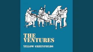 Video thumbnail of "The Ventures - Greenfields"