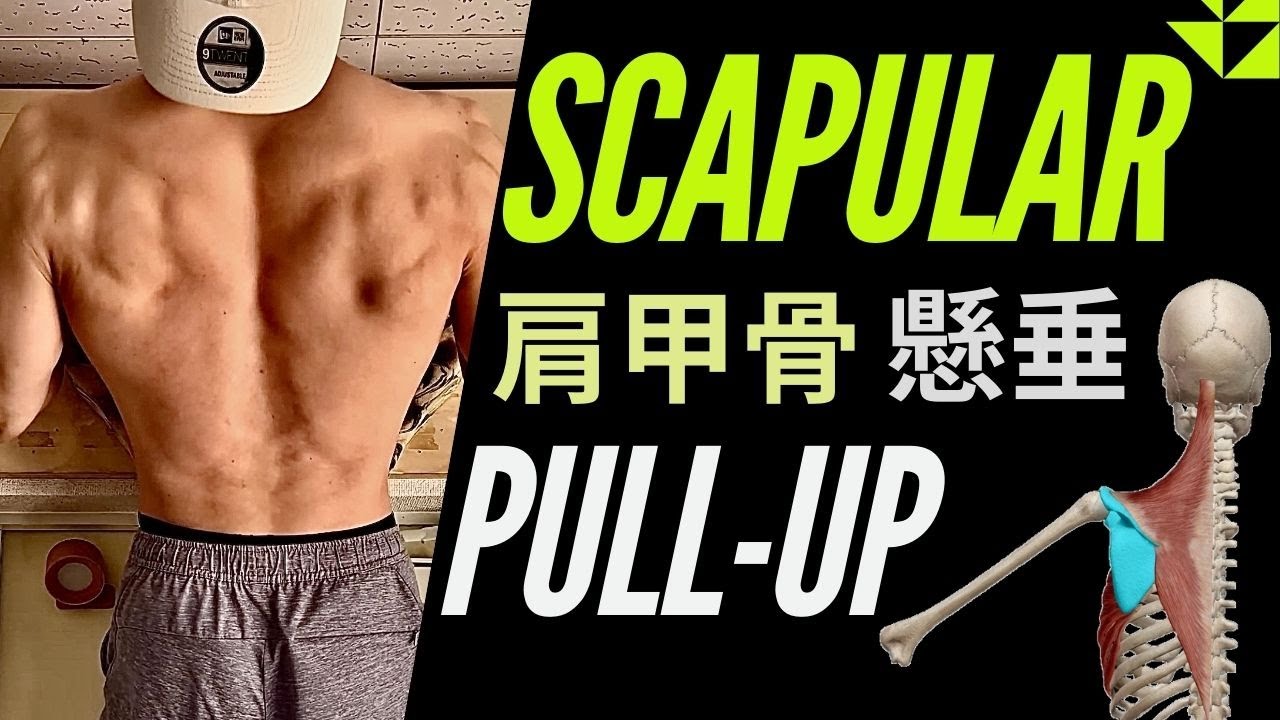 【懸垂の極意】スキャプラプルアップのススメ #筋トレ