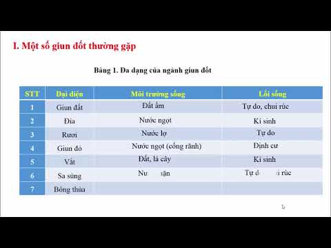 Video Bài 17: Một số giun đốt khác và đặc điểm chung của... - youtube
