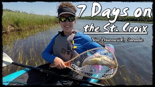 7 Days on the St. Croix River | Canoe & Kayak Camping