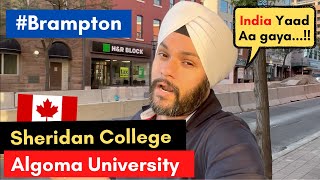 Brampton 🇨🇦, Sheridan College, Algoma University | Aaj India Yaad Aagaya