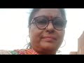 Family vlogs, kitchen recipes, personal vlogs