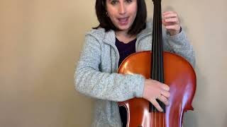 Cello And B Chicken On A Fence Post