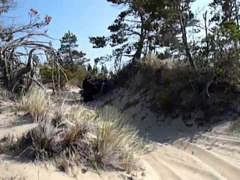 Video: Bezoek het Oregon Dunes National Recreation Area