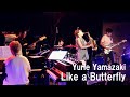 Yurie Yamazaki 『Like a Butterfly』