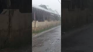 Heavy rain poured down, very heavy and foggy #heavyrain #soundsrain #walkingrain #asmr #village