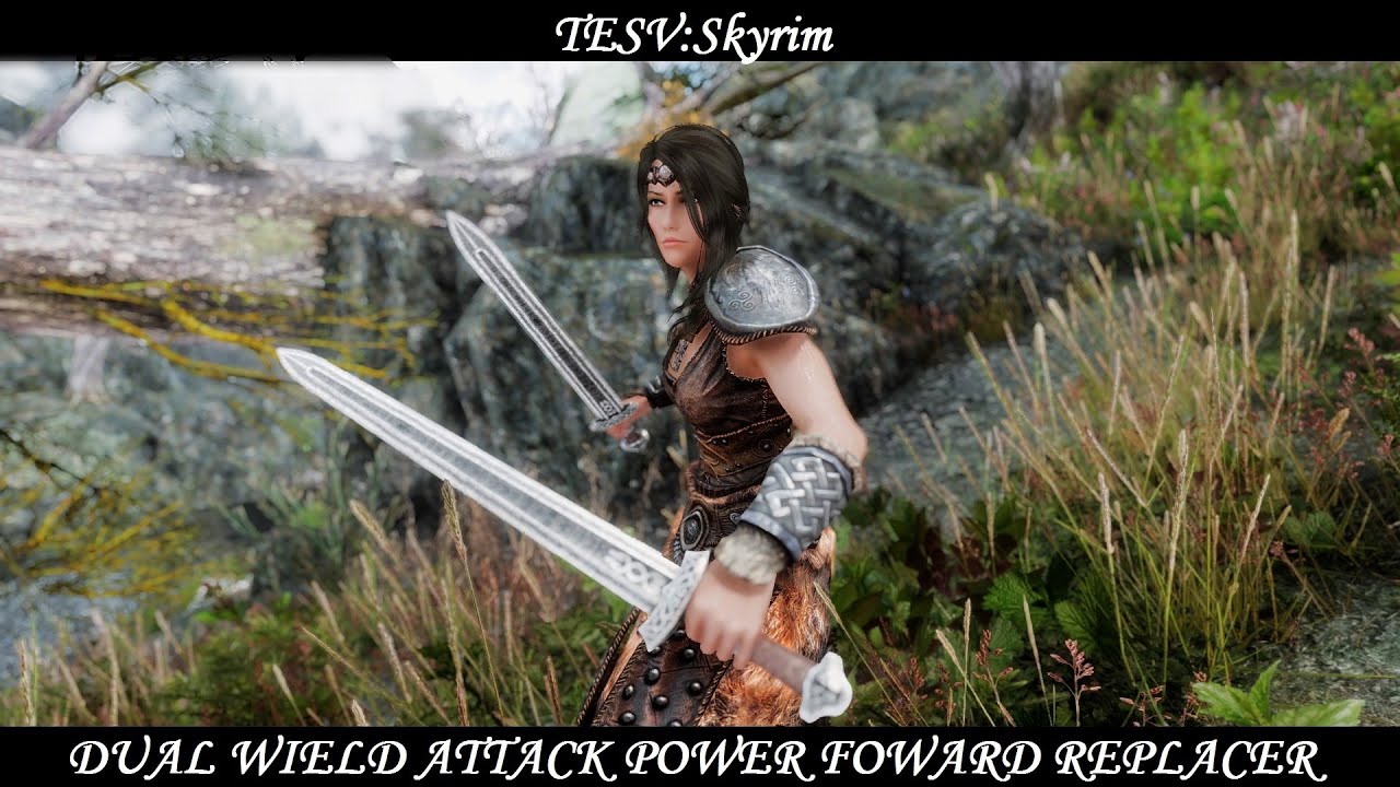 skyrim dual wield stance mod skyrim dual wield stance mod