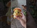 Chicken dinosaurios