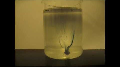 Cobalt Chloride crystal growth