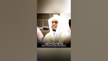 آيات منجيات من القرآن الكريم الشيخ ياسر الدوسري حالات واتس اب دينية قصيرة مؤثرة تلاوة خاشعة