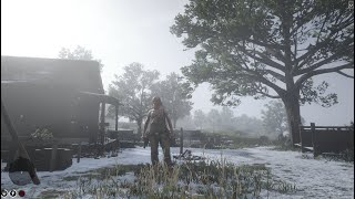 GTA VI but it&#39;s the Wild West - Rusty and his trusty steed