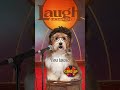 This Is The (man’s best fri)End 🐾 Austin Warren #StandupPets #SethRogen #StandUp #Comedy