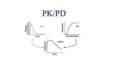 Overview of PK-PD relationship / Drug Dynamic