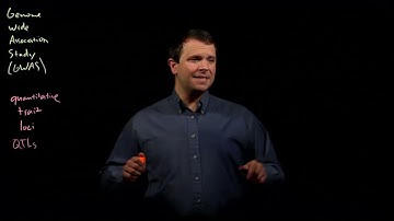 Quantitative trait loci (QTLs)