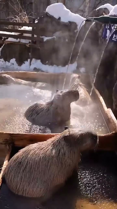 Experience some adventure. Don’t forget to subscribe.