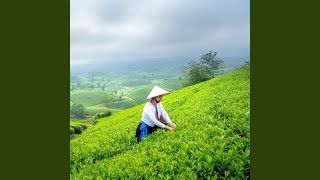 Tranquil Task Zen