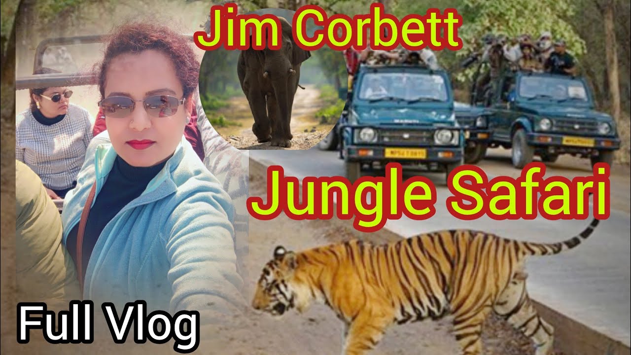 Jungle Safari || Jim Corbett National park || family vlog| friends tour | Fato Zone....