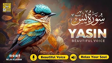 Relaxing Surah Yasin for Sleep, Depression, & Anxiety ✦ Surah Yaseen سورة يس ✦ Lofi Quran ✦ Hejazi