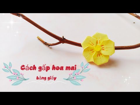 Video Cách gấp hoa mai bằng giấy#Trang trí Tết#Van's... - youtube