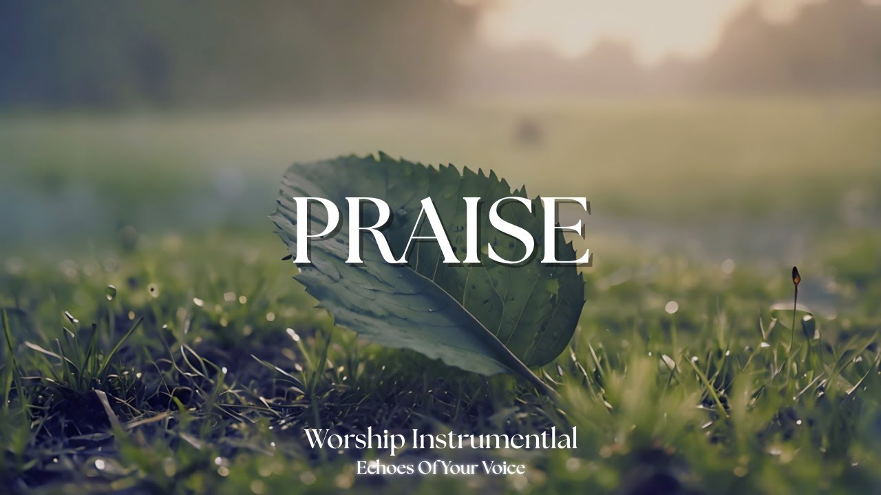 PRAISE | Soaking Worship Instrumental - Prayer and Devotional