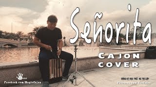 SENORITA -  Cajon Cover | Magic Cajon | Bi Cajon