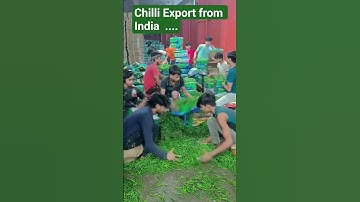 #businessideas #new #importbusiness #export #newsupdate #shortvideo #comment #businessgrowth