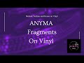 Anyma Fragments All Melodic House And Techno On Vinyl mp3