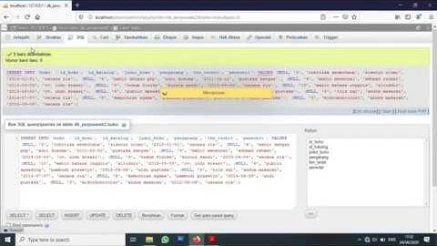 PHPMYADMIN CARA MEMASUKAN RECORD KE TABEL